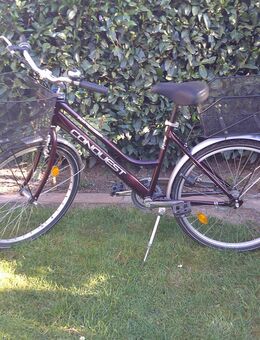 Damen / Jugendfahrrad Körbe vorne und hinten - Unna