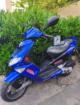 Peugeot Speedfight 2 s zu verkaufen - Berlin Steglitz-Zehlendorf