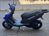 Pegasus Roller - Frechen