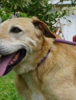 Zuta so viele Jahre gewartet ... - Kissing