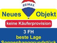 Keine Käuferprovision! Kaufen Sie ab € 999,- mtl.*/ 3 FH/ neue Heizung**& Sonnenhanggrundstück - Freudenberg (Baden-Württemberg)