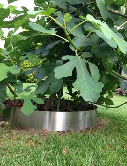 Beetumrandung PR400 Pflanzenring Edelstahl V2A 400mm - Hiddenhausen