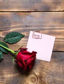 Suche eine Begleitung zum ausführen in ein Restaurant & vielleicht was Liebevolles am Abend. - Mölln (Schleswig-Holstein)