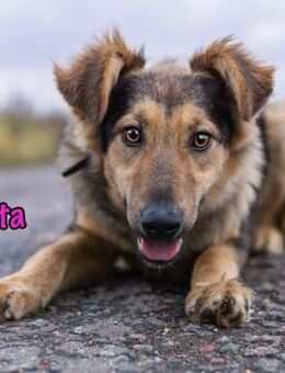 Ruta wissbegierig und gehorsam 1/25 RU - Ruppertsecken