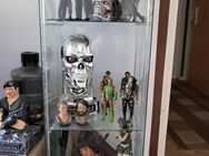 Action Figuren Sammlung - Magdeburg