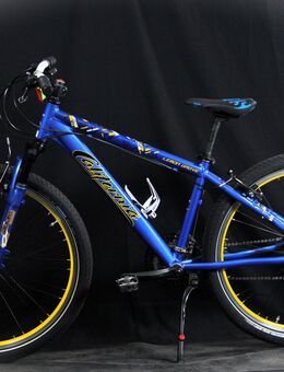 Cooles MTB-Fahrrad, CALIFORNIA Lemone Grove, B25/210 - Aarau