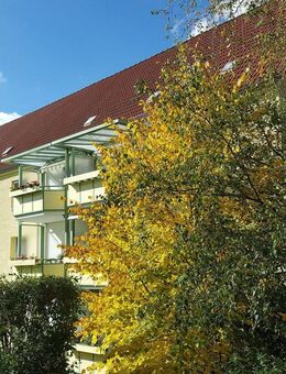 Ihre Traum-Wohnung in Siedlungslage!!! - Hohenstein-Ernstthal