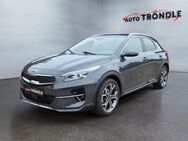 Kia XCeed, 1.5 T-GDI Xdition vo&hi, Jahr 2021 - Grafenhausen