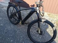 Fahrrad zu verkaufen - Buxtehude