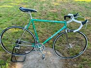 Bianchi Vento 504 COLUMBUS CrMo Stahlrahmen 57 Cm 16Gang Vintage - Bielefeld Altenhagen