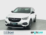 Opel Grandland, Ultimate Plug-in-Hybrid 4, Jahr 2020 - Uslar