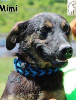 Mimi Kleiner Wirbelwind ... - Kissing