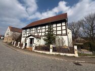 Sanierungsbedürftiges Einfamilienhaus mit Nebengebäude in ruhiger Ortsrandlage - Droyßig