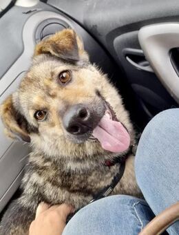 Altes liebes soziales Mädchen KATE ♥️‼️ - München