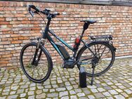 Shimano Steps E-Bike mit zwei Akkus - Havelsee Zentrum