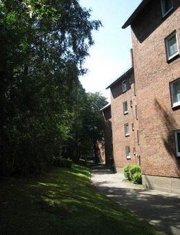 Frisch modernisierte Wohnung sucht Studenten - Kiel