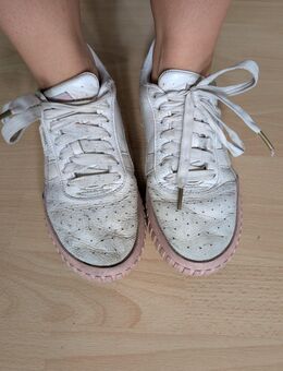 Stinkige Puma Sneaker - Münster