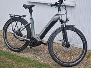 Winora E Bike R8f Yukatan Platinium Matt - Hohenwestedt