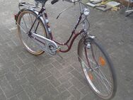 Neu bei uns Classic Bike von Goericke - Bramsche