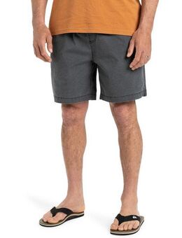 Quiksilver Shorts TAXER WS
