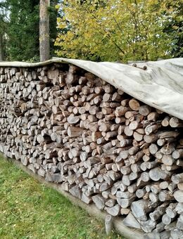 Brennholz Buche - Haigerloch Zentrum