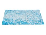 Trixie Kühlplatte für Kleintiere - L 35 x B 25 x H 0,8 cm