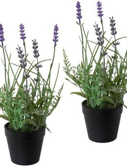 Kunstpflanze Lavendel, Creativ green, Höhe 25 cm, 3er Set, im Kunststofftopf