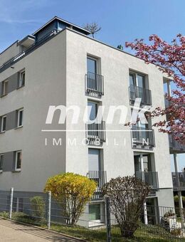 Wohntraum am Ulmer Michelsberg - Ulm