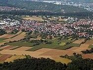 Zweizimmer Wohnung nur wenige Gehminuten Minuten von S-Bahnhof entfernt - Ostfildern