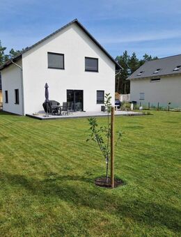 Ihr Traumhaus wartet! - Modernes Einfamilienhaus aus 2022 in Borkwalde - Borkwalde