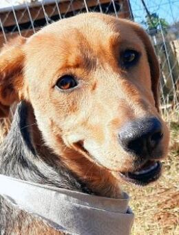 MOKKA - Bereit für neue Abenteuer - Sehnde