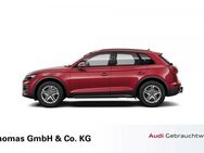 Audi Q5, , Jahr 2021 - Celle