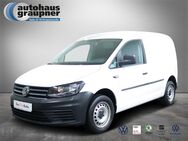 VW Caddy, 2.0 TDI Kasten, Jahr 2018 - Brandis