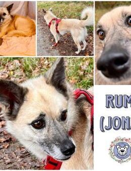 RUMI - vom Schatten ins Licht 🌸 - Duisburg