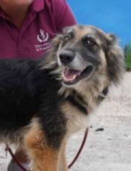 Neska freut sich schon auf dich - München