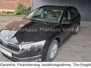 Skoda Octavia, 2.0 TDI Combi 389 mtl Selection, Jahr 2024 - Rheurdt