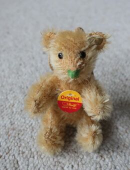 Steiff Anhänger-Teddybär beige mit grüner Nase - Niddatal