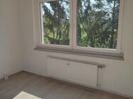 frisch renovierte 2-Raum Wohnung mit Balkon im EG - Gröningen