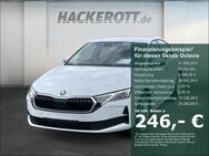 Skoda Octavia, 1.5 TSI Selection, Jahr 2024 - Langenhagen