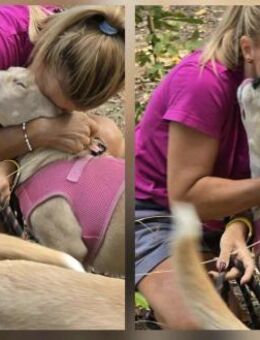 SEHR freundlich sehr verfressen COOPER♥️ - München