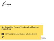 Betriebsleiter (m/w/d) im Bereich Elektro - Strausberg