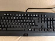 Razer Blackwidow Chroma - Nidda