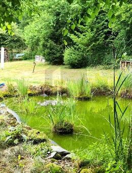 NATUR PUR ENTSPANNUNG ZUHAUSE - Osterode (Harz)