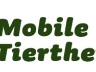 Tierheilpraktiker für Groß- und Kleintiere/ mobile Tierheilpraxis - Judenbach