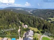 Unikatives Baugrundstück mit Biotop in Feldberg - Feldberg (Schwarzwald)