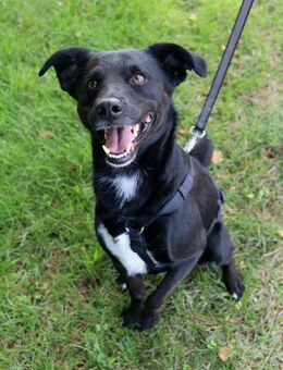 August - bringt den Sommer ins Haus 🌞 - München