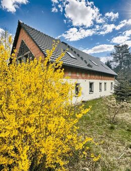 Sanierungsbedürftiges Haus auf idyllischem Naturgrundstück - Niesky
