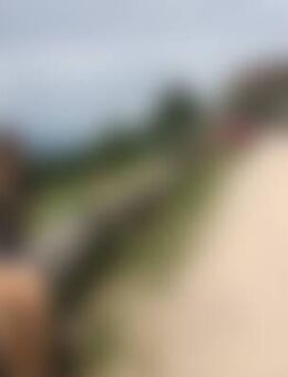 Tin*** - Baden-Baden