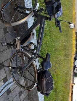 E-Bike Centurion E-Fire 408 zu verkaufen - Bretten Zentrum