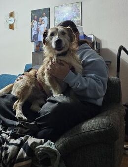 Bary - in Nürnberg auf Pflegestelle - Schwaig (Nürnberg)